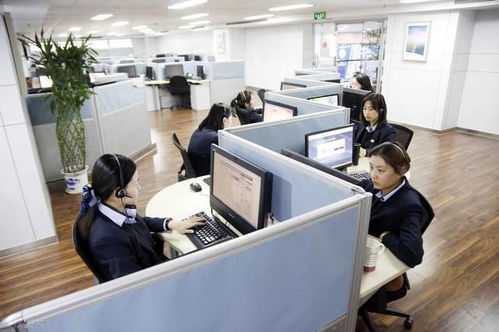 抖音小店客服外包 每日500人咨询量的成本分析