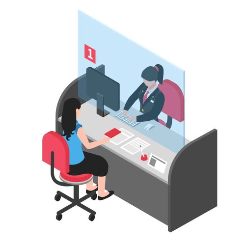 户籍新政下的信息咨询服务 机遇、挑战与价值