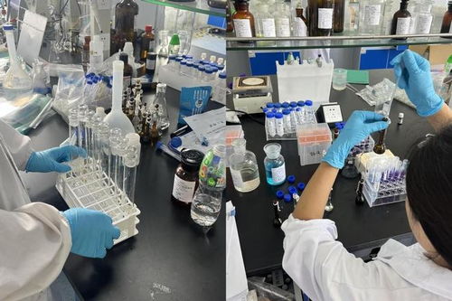 选择熠品，加速产品准入 专业ISO 10993生物相容性测试服务